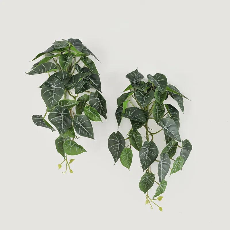 29  Ŵ޷  ùķ̼ ¥     ȥ   ̾ƿ ź Leafs Ȩ  ̺